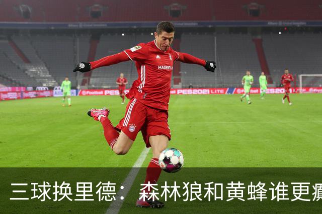 三球换里德：森林狼和黄蜂谁更癫？！